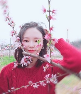 小桌子的第一张照片--诏安相亲网