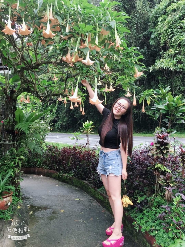 离异单身无子的第二张照片--诏安相亲网