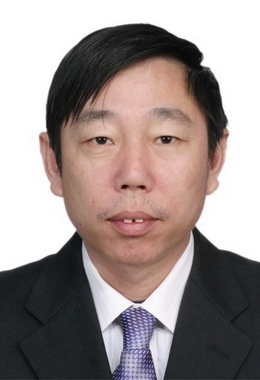 绿油油的榕树的第一张照片--诏安相亲网