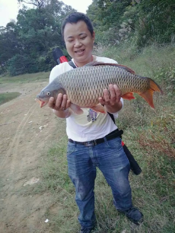 迷路的男人的第一张照片--诏安相亲网