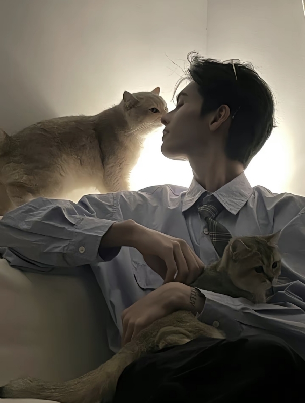 怪猫的第一张照片--诏安相亲网