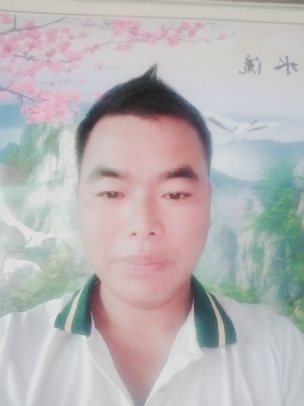阳光男孩的第二张照片--诏安相亲网